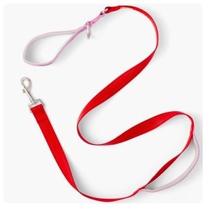 Lego Dog Leash and Collar